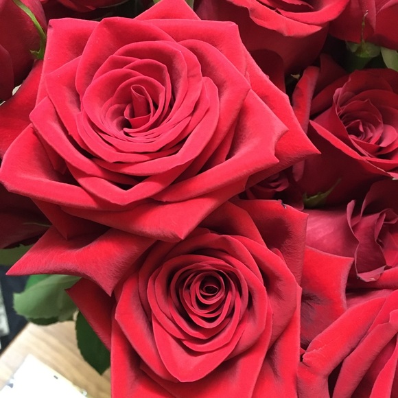 Meet your Posher, Jenny - Picture 3 of 5